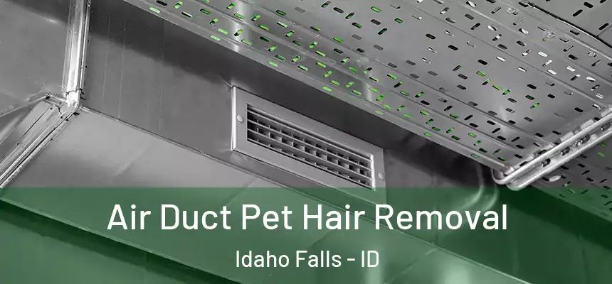 Air Duct Pet Hair Removal Idaho Falls - ID