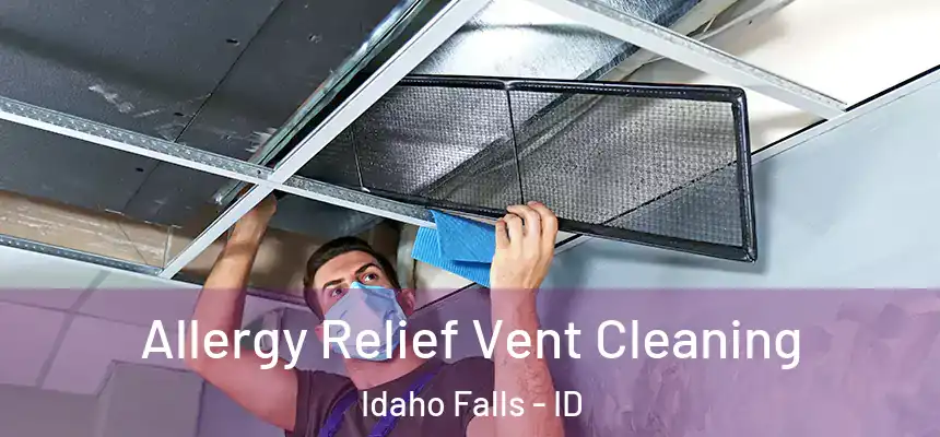  Allergy Relief Vent Cleaning Idaho Falls - ID