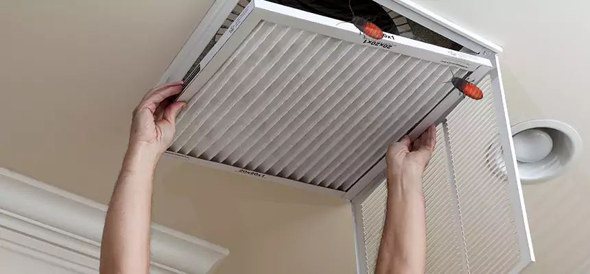 Preventive Cockroach-Proofing for Ducts in Idaho Falls