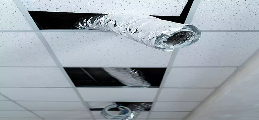 Our Air Duct Pet Hair Removal Services in Idaho Falls, ID