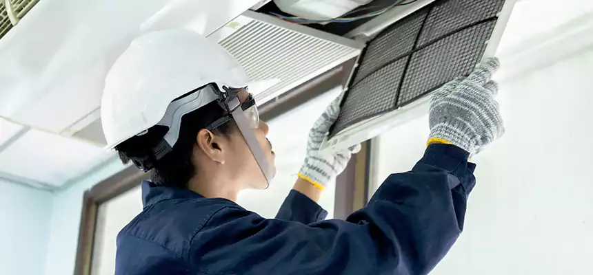 Our Mold & Mildew Removal from Air Ducts Services in Idaho Falls, ID