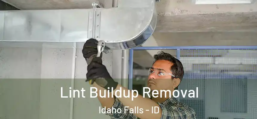  Lint Buildup Removal Idaho Falls - ID