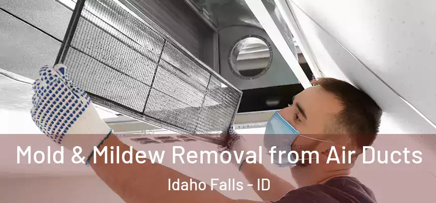 Mold & Mildew Removal from Air Ducts Idaho Falls - ID