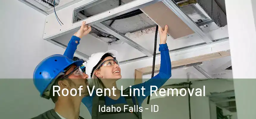 Roof Vent Lint Removal Idaho Falls - ID