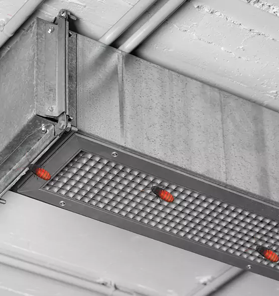 About Air Duct Cockroach Removal in Idaho Falls, ID