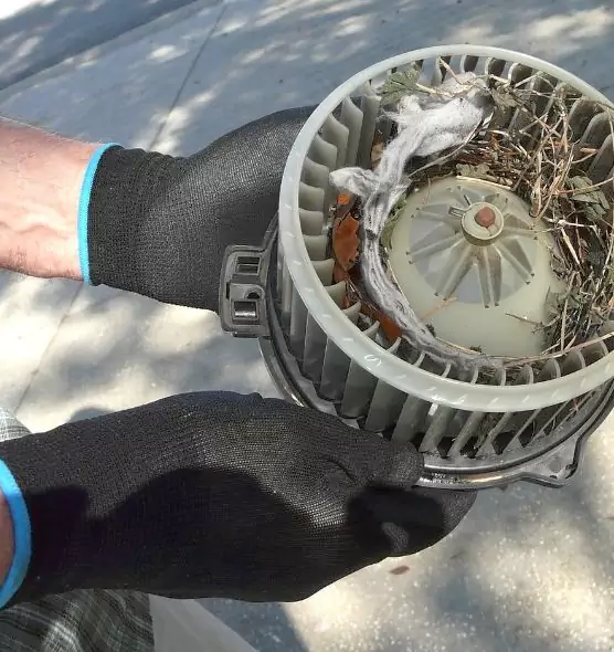 About Air Duct Mice Removal in Idaho Falls, ID