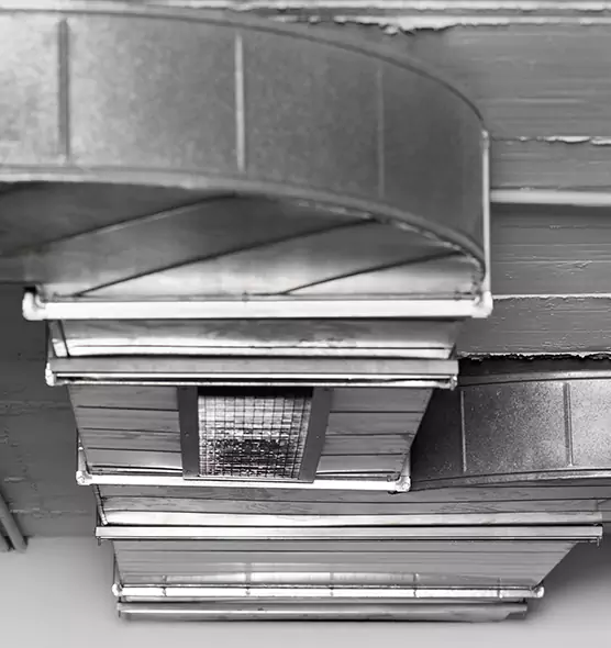 Professional Air Duct Pest Removal in Idaho Falls, ID