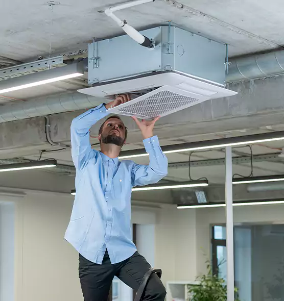 Advanced Rodent Droppings In Vents in Idaho Falls, ID