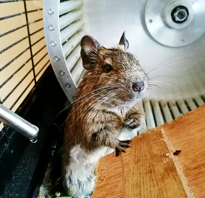 Why Homeowners & Businesses Trust Us Idaho Falls, ID?