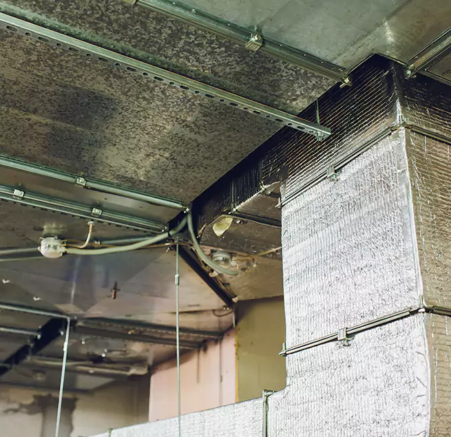 Why Homeowners & Businesses Trust Us in Idaho Falls, ID?